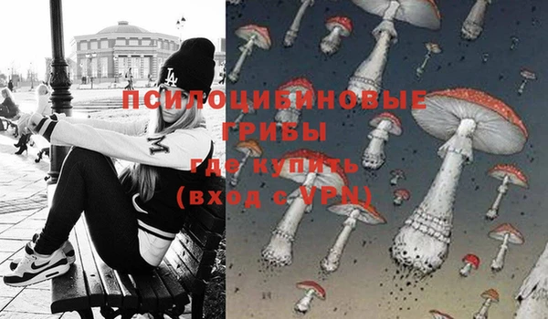 каннабис Новодвинск