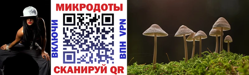 Псилоцибиновые грибы GOLDEN TEACHER  купить наркотики цена  Первомайск 